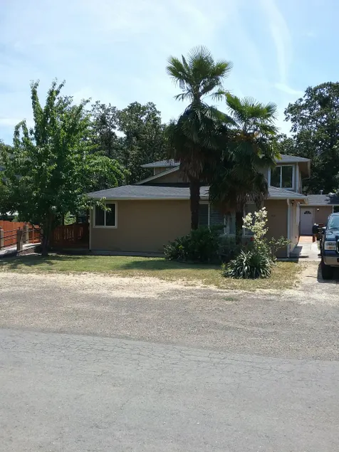 Twin palms - Image 1