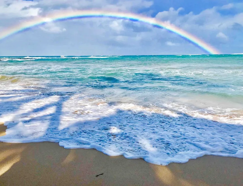 Beauty & the Beach: Huge SALE! Remodeled + OcnView - Image 1