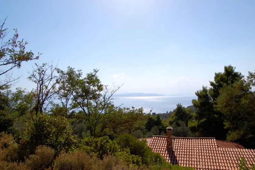 Dafni: country house with sea view - Image 1