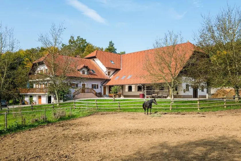 APARTMENT ZYNGA - STUD FARM - Image 1