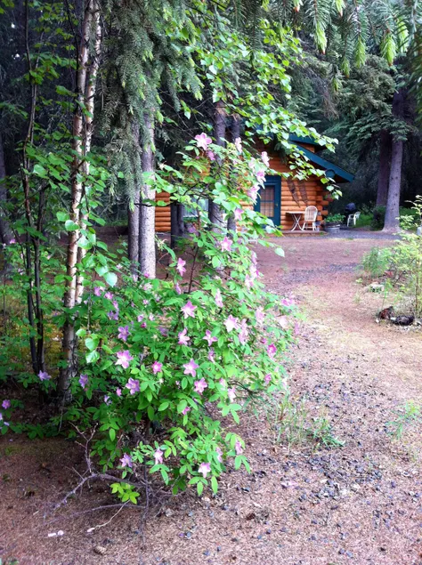 Nordpolen Cabin Retreat - Image 1