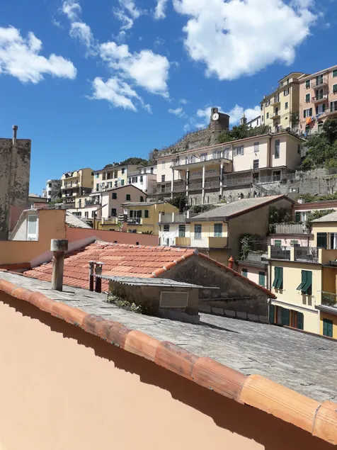 The house on the rooftops: Hiker's cozy apartment in Riomaggiore - Image 1