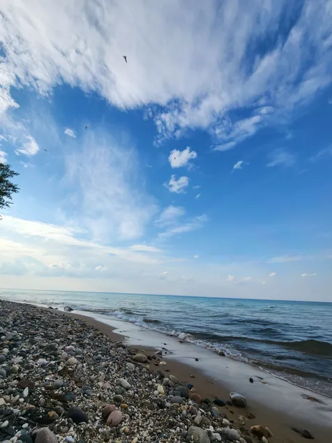 Adorable Cottage - Lake Huron Access - Within the tall Northern Michigan trees! - Image 1