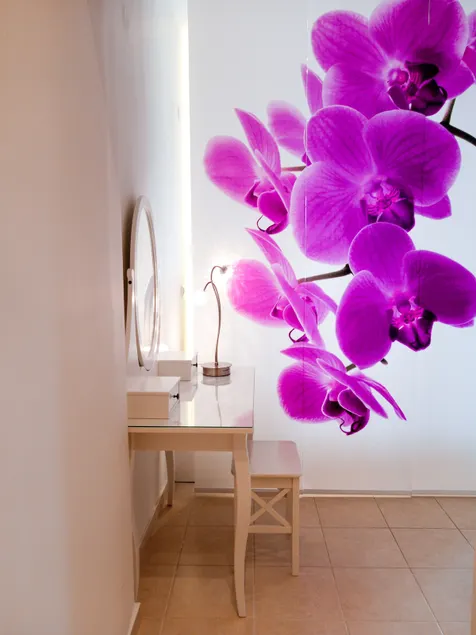 Orchid Studio 2 - Image 1