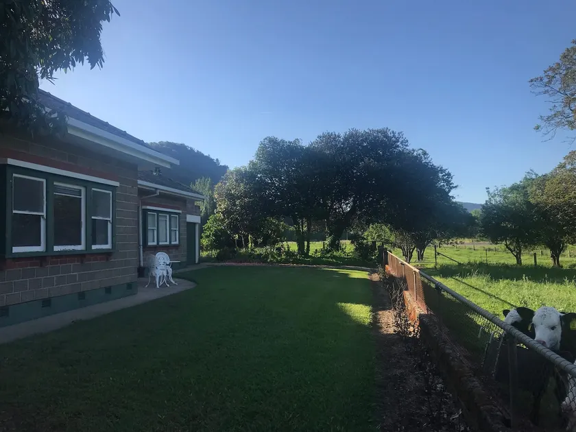 Riversdale, Mitta Mitta - Image 1