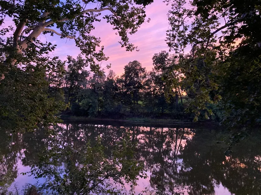 River House Retreat w/ King Bed - Image 1
