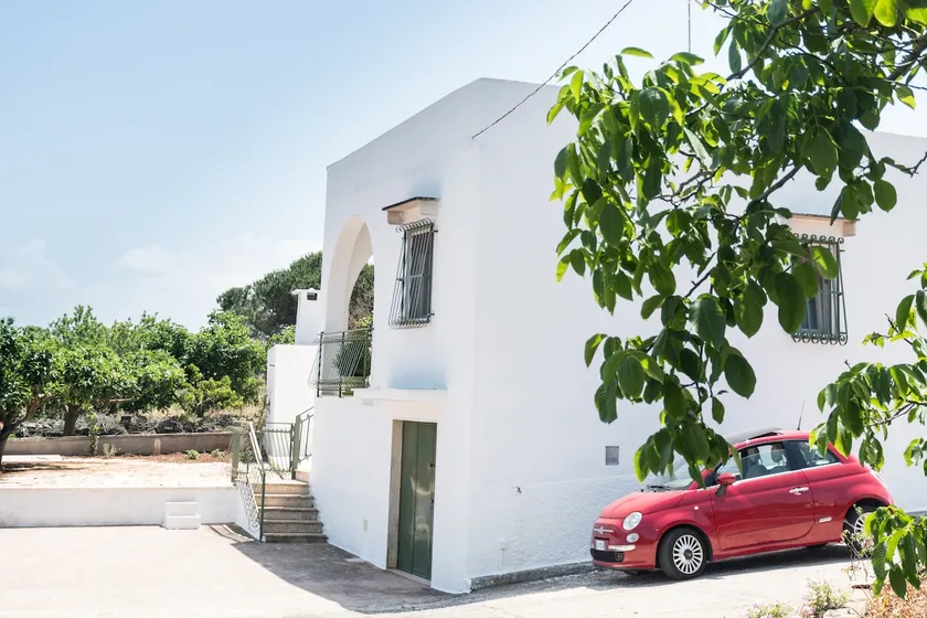 Olive house - Image 1