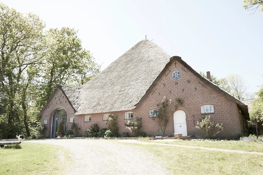 The hidden nest under the thatched roof - Image 1