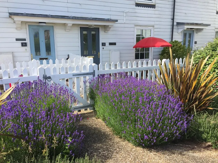 The Beach Retreat - Image 1