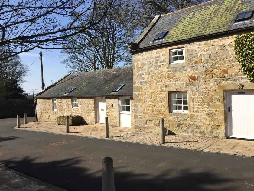 Bavington's Number 1. - Image 1
