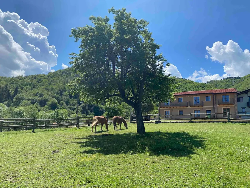 Ranch Enbrucà - Image 1