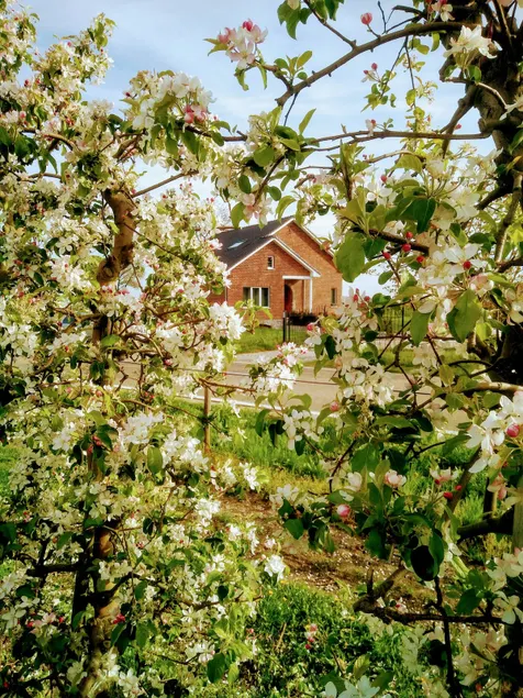 Vacation home: De Oude Katsei - Image 1