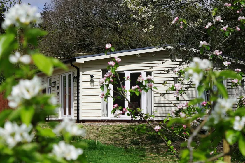 Orchard Cottage - Kent - Image 1