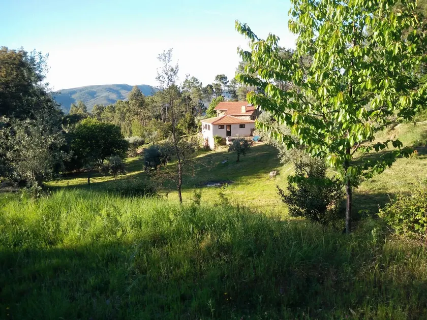 Olive Meadow Mountain Cottage - Image 1