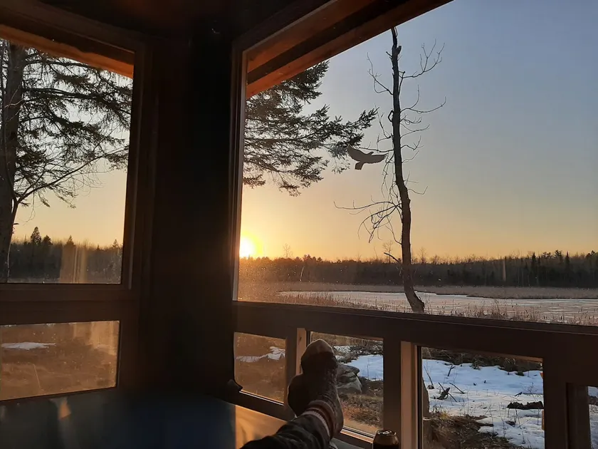 Red Pine|No Neighbors|Pet Friendly|Nature|Drive to - Image 1