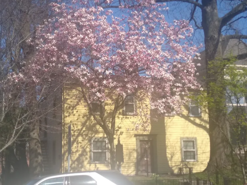 Historic Clayton-Bullock Schoolhouse Near Downtown Cincinnati!! - Image 1