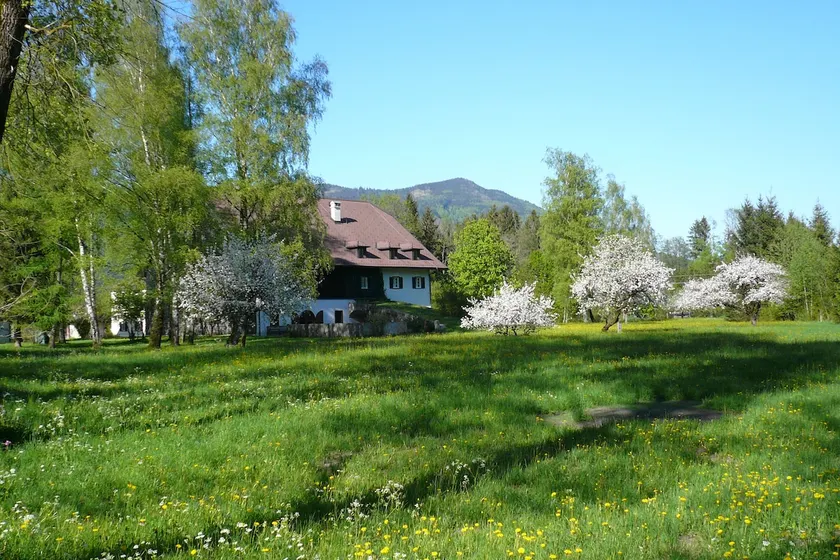 Gut Achort - ”Drachenwand view” - Image 1