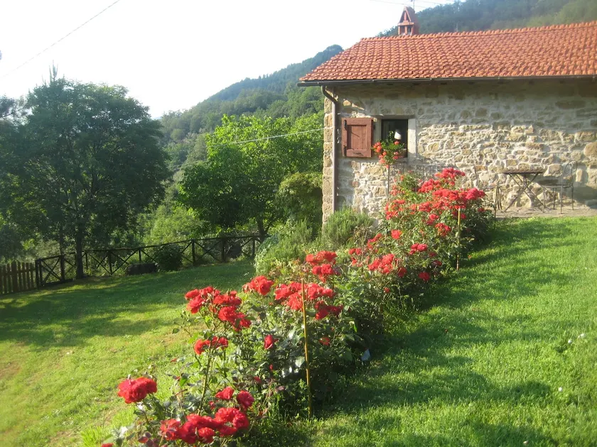 Tierfreundliches, gemütliches Ferienhaus + Pool in der Nähe von Florenz. Großartige Aussichten. Capannina sleeps2 - Image 1