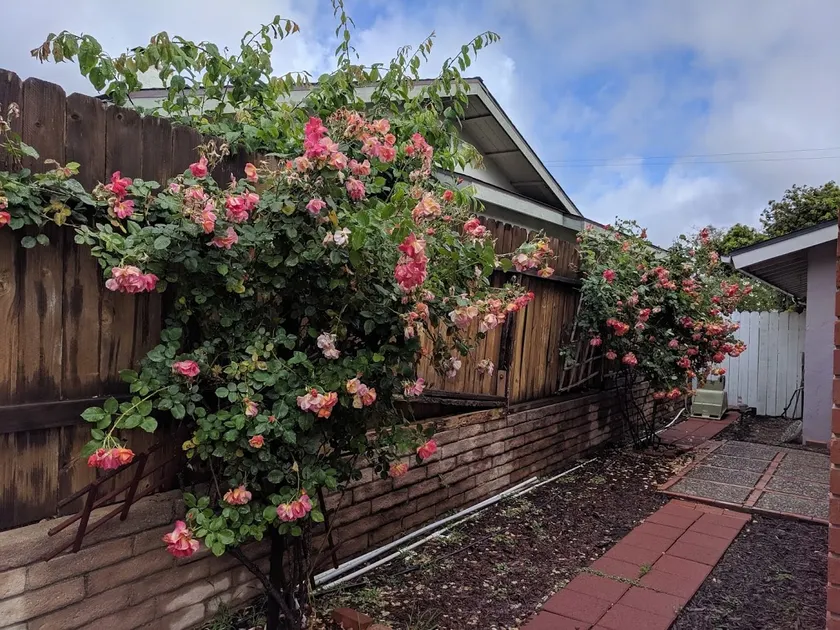Large Remodeled Home Close to Beach/UCSB - Image 1