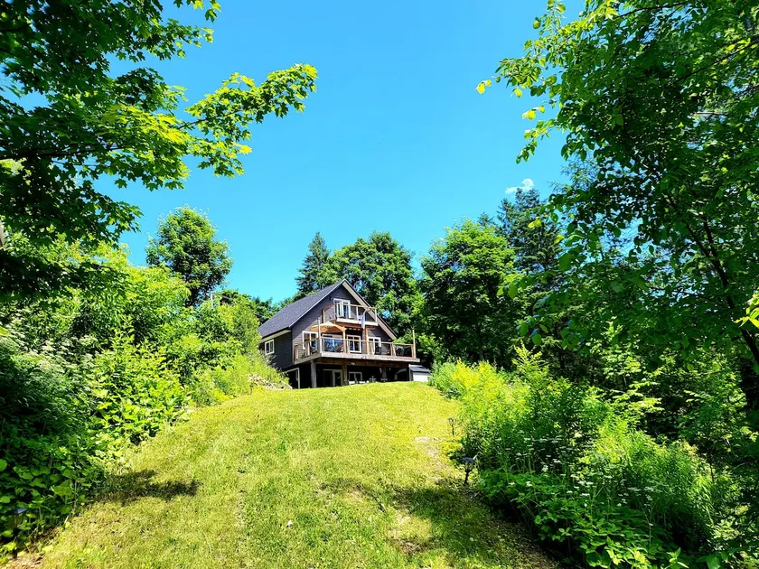 The Bird House - Image 1