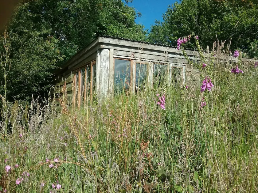 Foxes Den, Secluded, off-grid cabin. Amazing views - Image 1