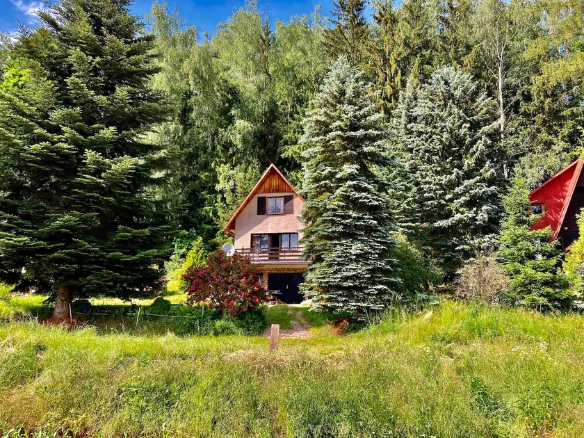 Mountain cabin, fireplace, kitchen, TV, PS4, swimming pool, Jacuzzi - Image 1
