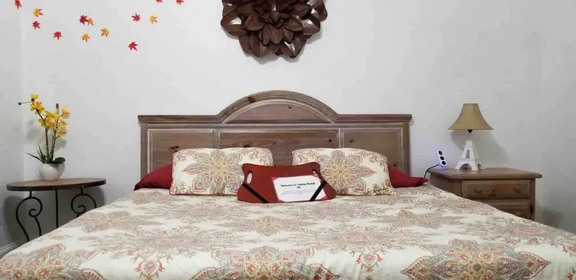 2. Guests’ (independent) apartment near DFW - Image 1