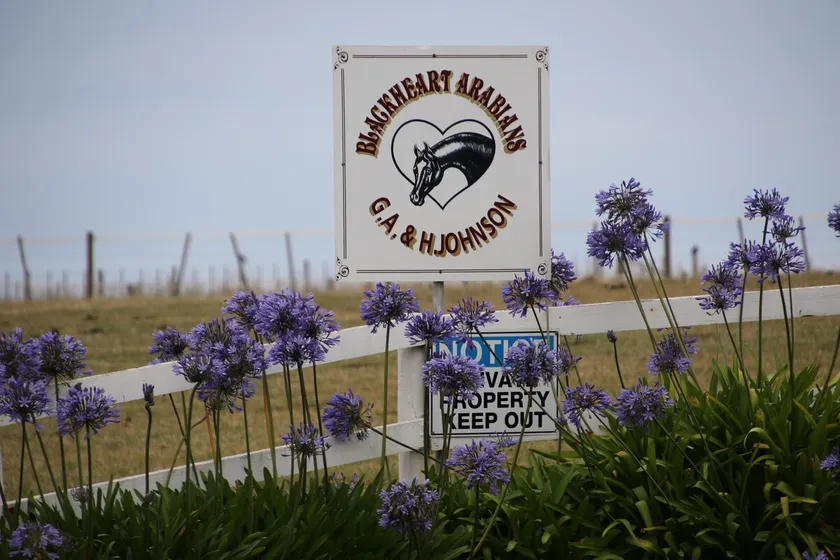 Black Heart Arabian Horse Property Retreat - Image 1