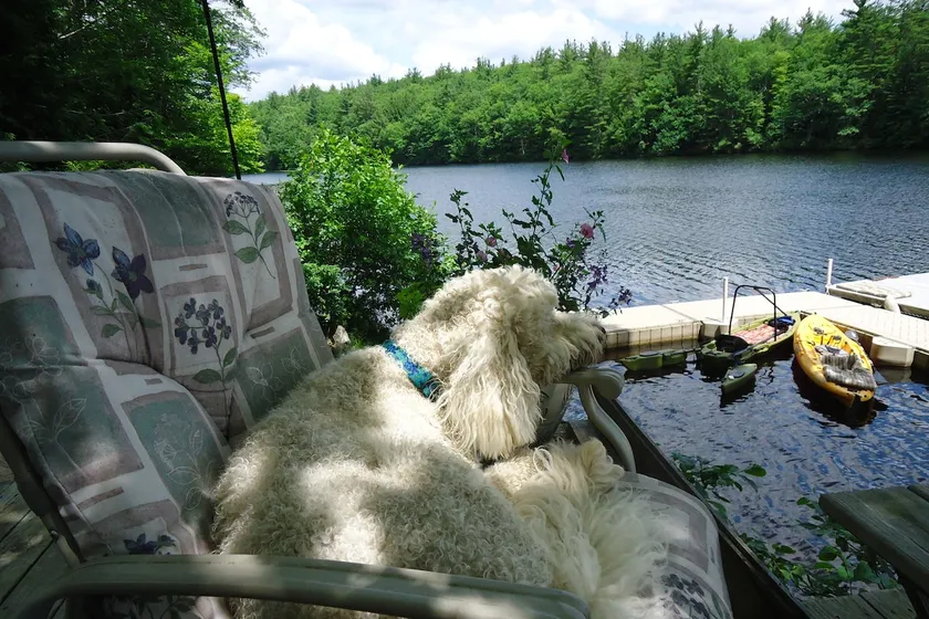 Large Private Lake House - Image 1