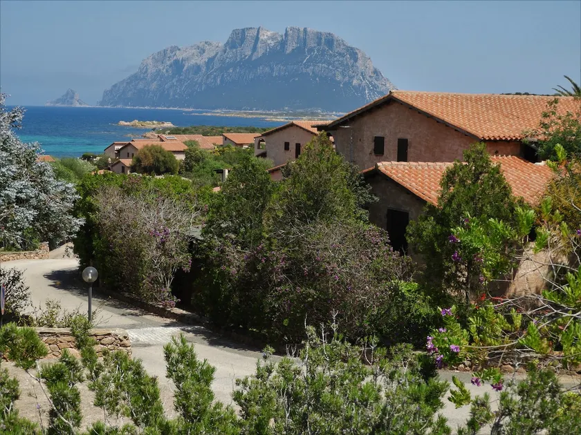 Villa Cactus, Costa Corallina - Image 1