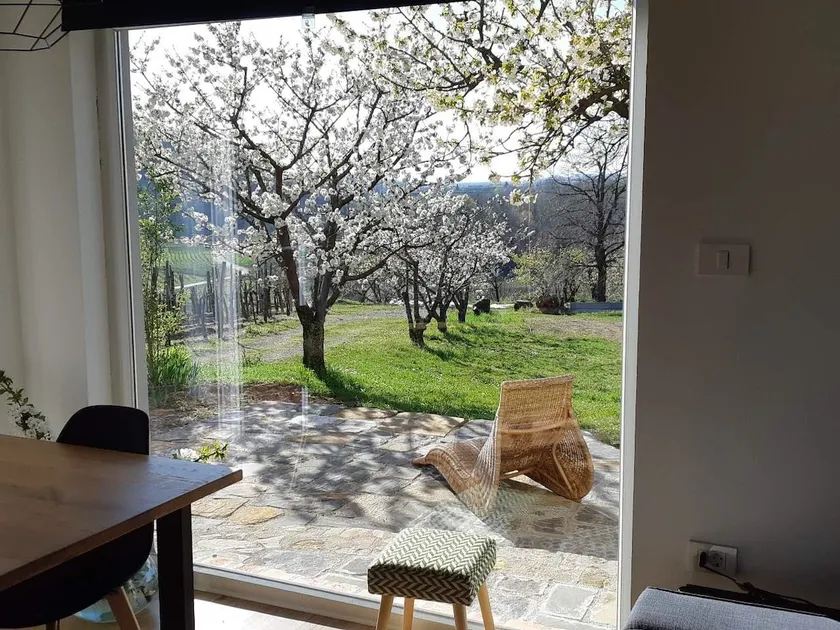 Apartma Vita - Image 1
