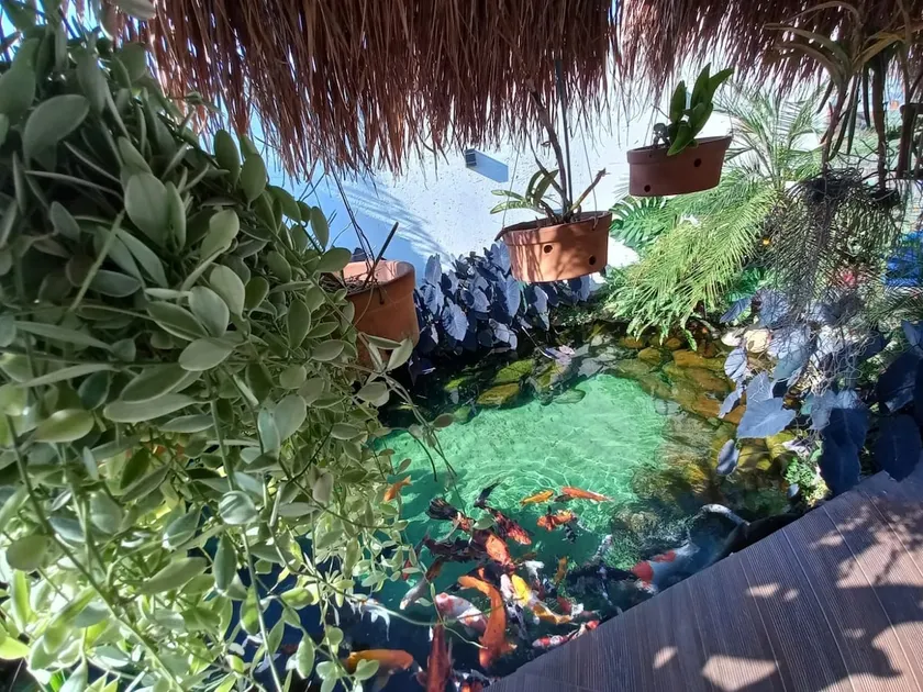 Lago das Carpas Inn - Image 1