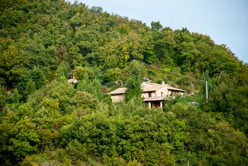 Calmancino delle Selve - Image 1