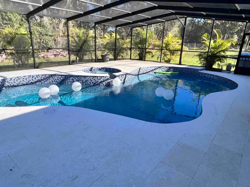 Gorgeous farmhouse with pool in Tampa Florida - Image 1