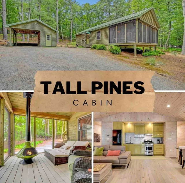 Tall Pines Cabin - Close to Lake Wallenpaupack - Image 1