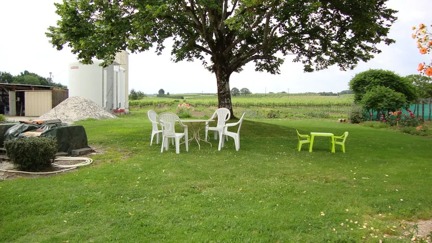 FARMHOUSE IN THE HEART OF THE COGNAC VINEYARD - Image 1