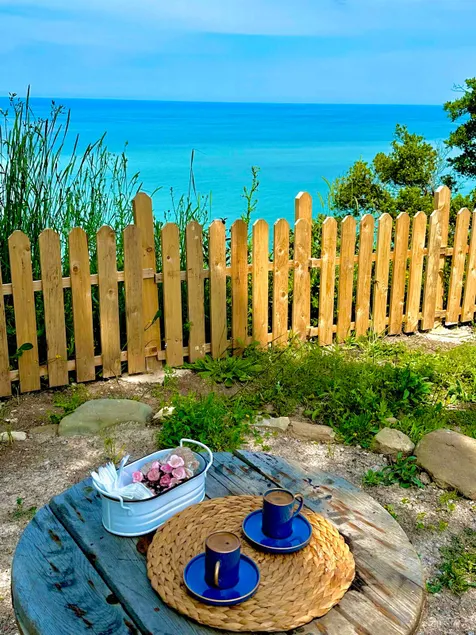 A night in the pine forest with a sea view. - Image 1