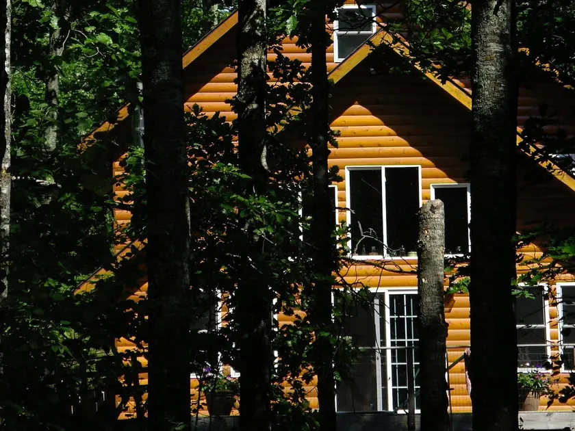 Secluded woods/lakeshore home, complete amenities - Image 1