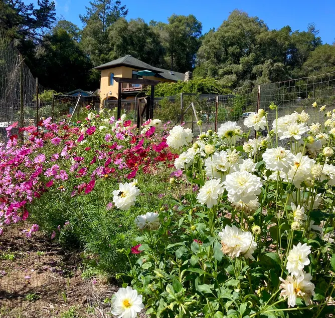 Monterey Bay Farm Retreat! Best access to Monterey & Santa Cruz attractions. - Image 1