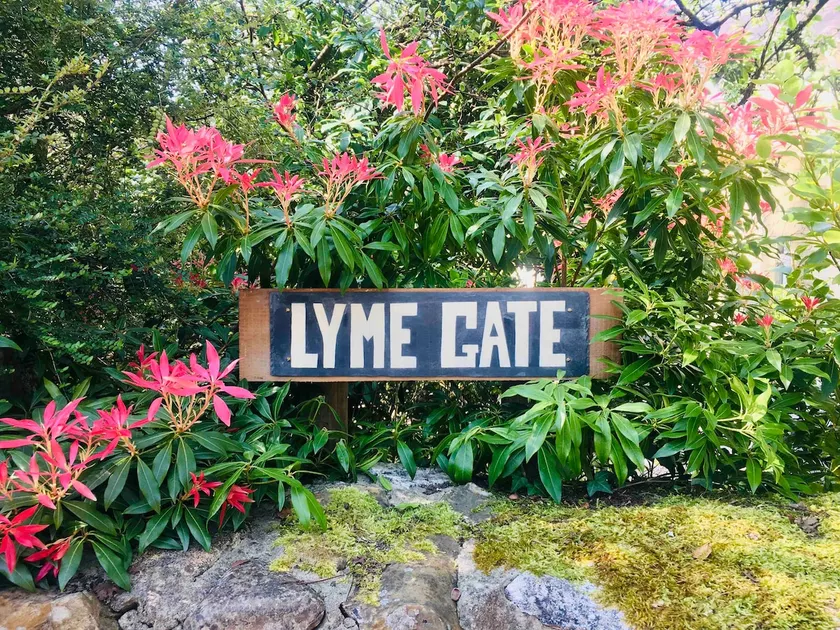 Private Room, Lyme Gate, Axminster EX13 5SU - Image 1