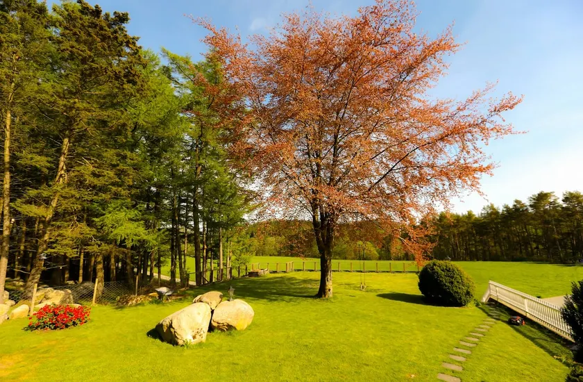 Natural 1 bedroom apartment - Image 1