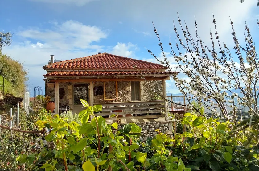 The Artist's House - Image 1