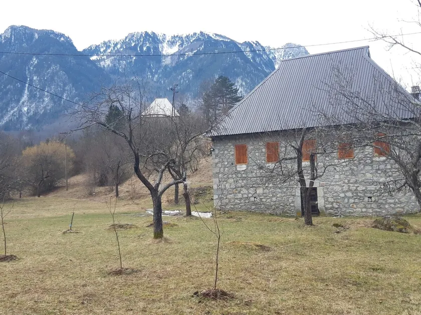 Villa Alexandra Bistrica - Image 1