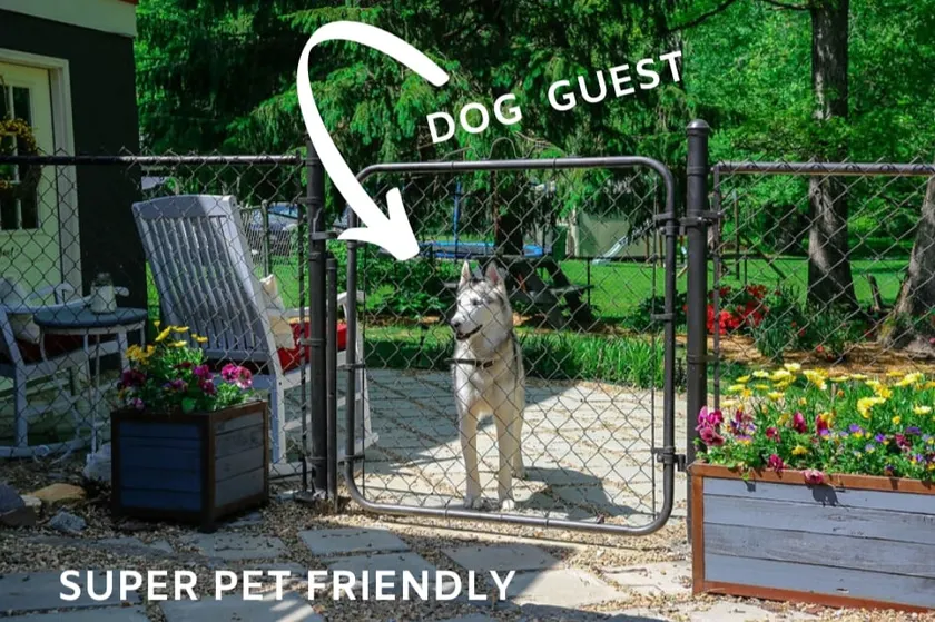 Houz Zen: A Pet Friendly Private Suite - Image 1