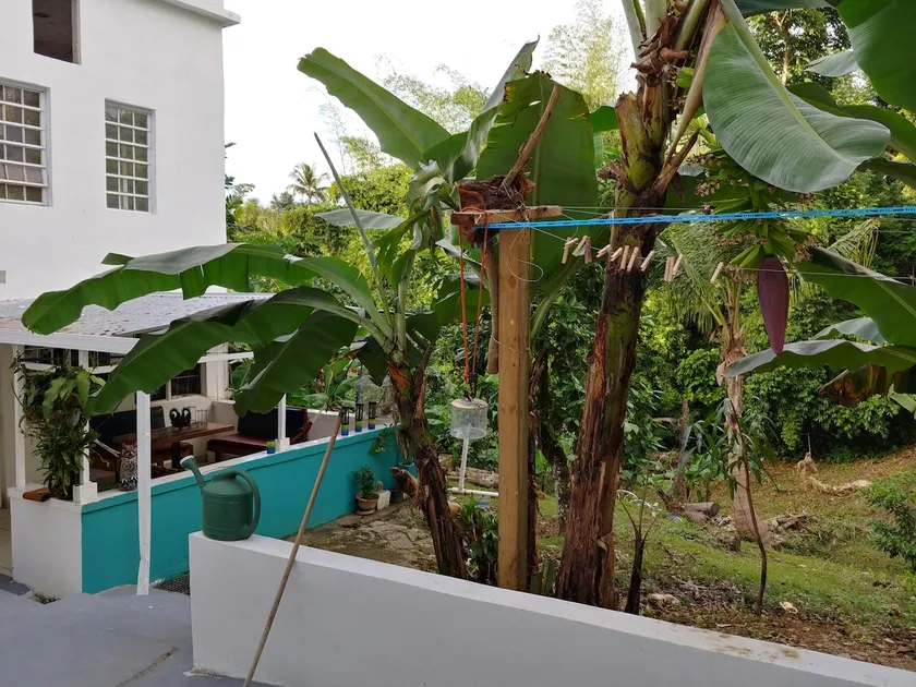 Total Tranquility Patio / Casa de Latorre - Image 1