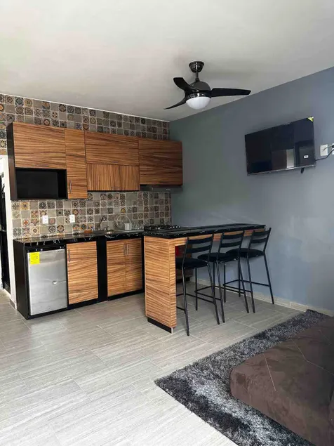 Coyoacán Apartment - Image 1