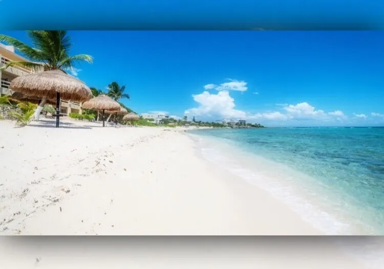 La Tortuga beachfront condo, pool, turtles nest - Image 1
