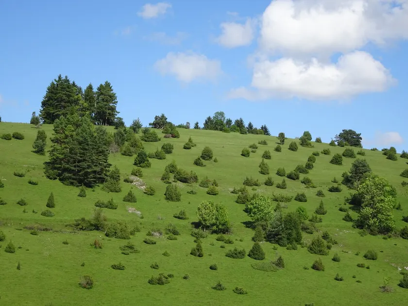 Heid-Blick - Image 1