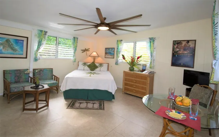 SUITE ALOHA - Play at the Beach - Image 1