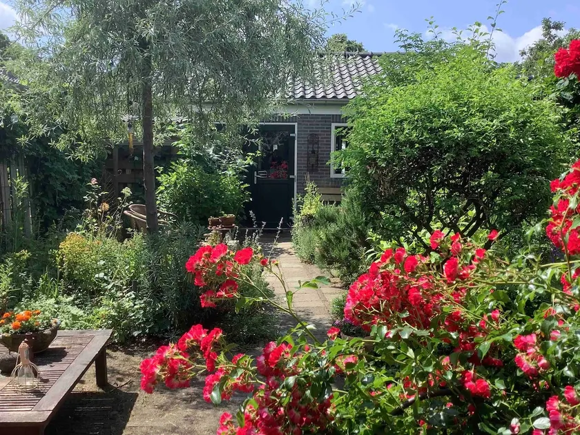 Lovely tiny house with garden - Image 1